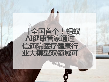 全国首个！蚂蚁AI健康管家通过信通院医疗健康行业大模型双领域可信评估